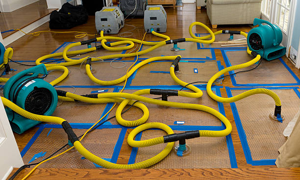 Professional Flood Damage Restoration technician working in Westminster, CA
